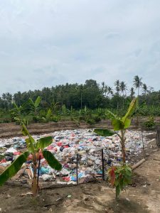 Timbul Lagi ! Lokasi Pembuangan Sampah di Pekon Pardasuka, Diduga Tanpa Mengantongi AMDAL.