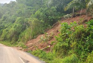 Longsor Melanda Kecamatan Limau, Jalur Utama Pekon Pariaman Terganggu